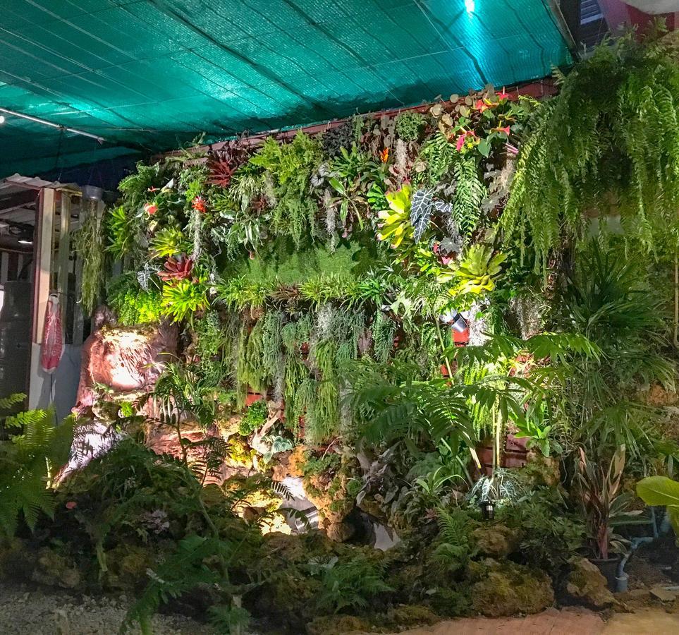 Bann Ton Kho Otel Khao Kho Dış mekan fotoğraf